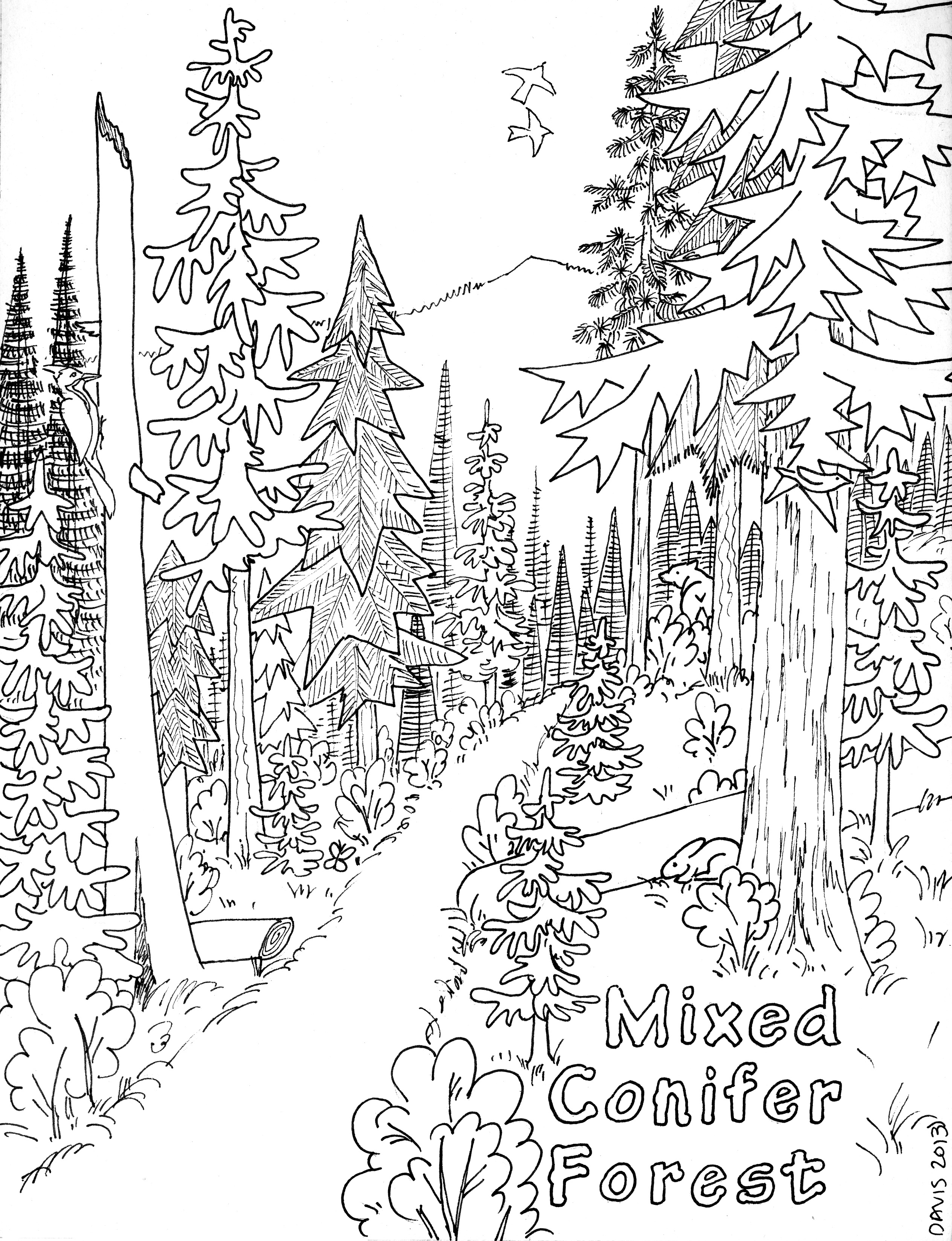 taiga community coloring pages - photo #27
